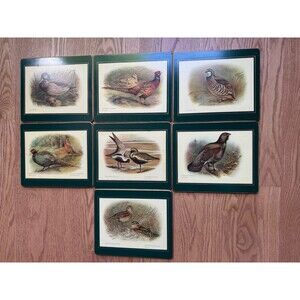 Lady Clare Bird Identification Placemats Coasters Perfect For Hunting Cabin VTG